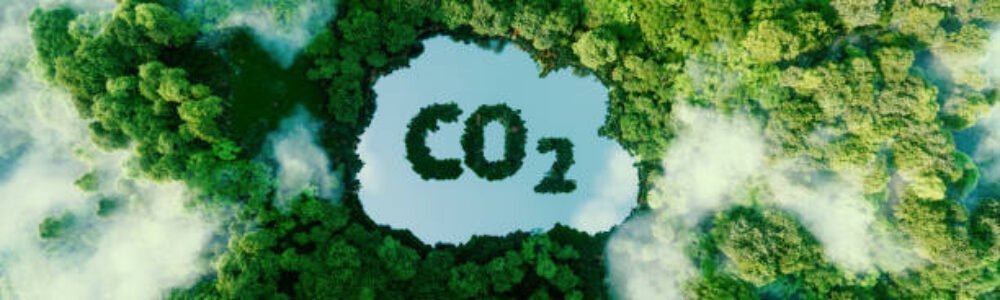 Concept depicting the issue of carbon dioxide emissions and its impact on nature in the form of a pond in the shape of a co2 symbol located in a lush forest. 3d rendering.